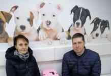 Турбота про хвостиків і героїв: веткабінет “Центр” робить знижки військовим та переселенцям