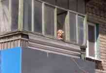 В Павлограде шустрая девочка закрыла себя в квартире, – пришлось вызывать спасателей