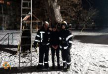 В Павлограде спасатели помогли спуститься с дерева 15-летнему подростку