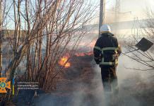 Спасатели: поджигатели сухостоя подрывают обороноспособность страны