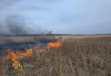 Остановитесь: только за 29 марта на Павлоградщине сгорело 7,5 гектаров земли