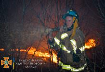 За сутки на Павлоградщине сгорело более 42 га земли, на Днепропетровщине – 270 га