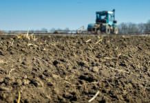 Що може зробити фермерка на землях Дніпропетровщини за 7 тис. доларів?