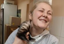 Усіх пристойних собак та кішок запрошують відвідати ветеринарний кабінет «Центр»