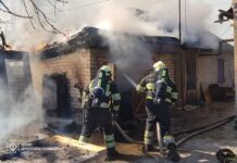 В Павлограді під час пожежі загинув собака