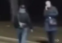 Поліція розшукує свідків ДТП, яка сталася у с. Межиріч